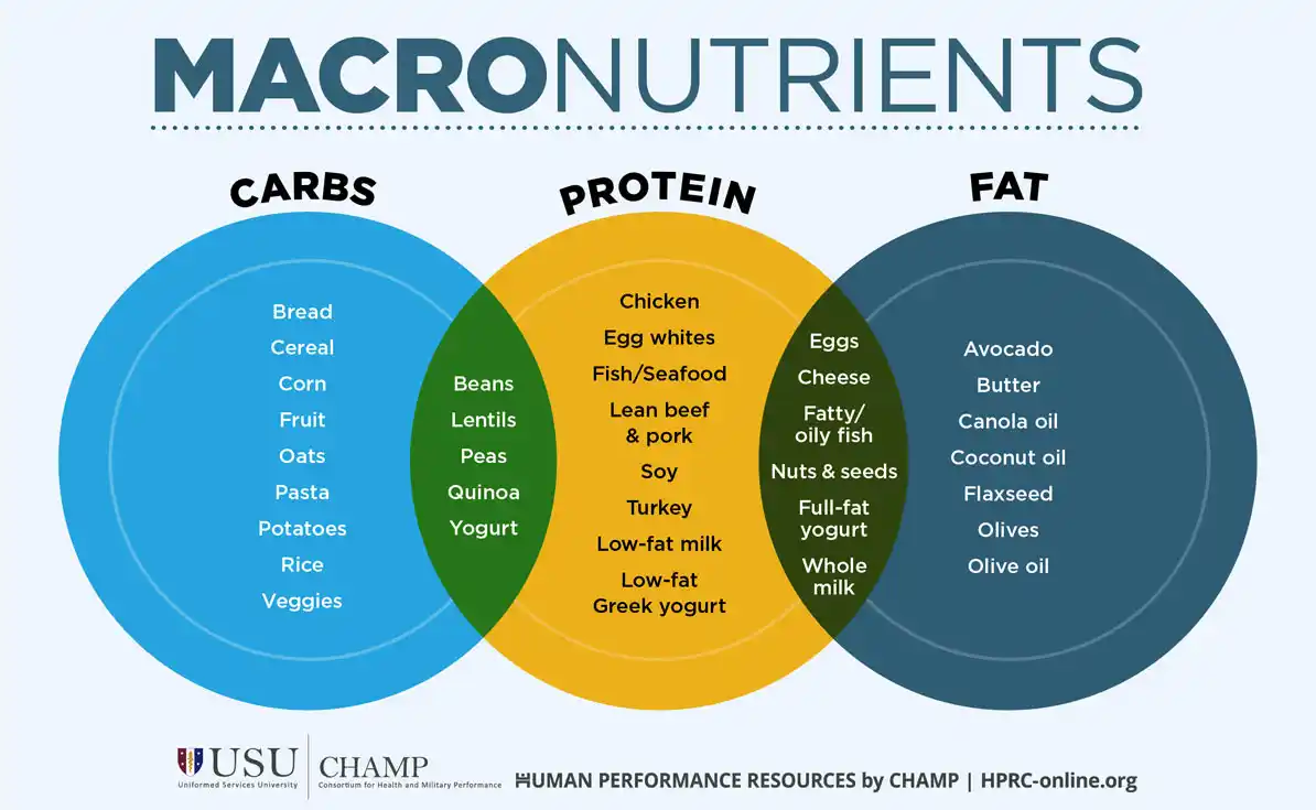 learn about balanced eating and macronutrients to optimize your diet, improve health, and maintain energy levels with the right mix of proteins, fats, and carbohydrates.