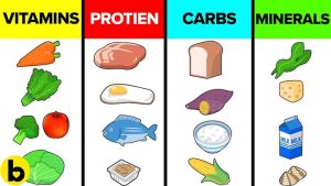discover the essential key nutrients your body needs to stay healthy and energized. learn about vitamins, minerals, and more to support your wellbeing.